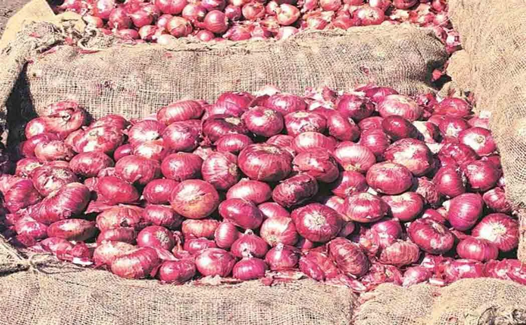 onion price control with in 3 days tn govt 